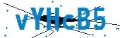 recaptcha