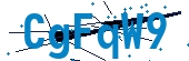 recaptcha
